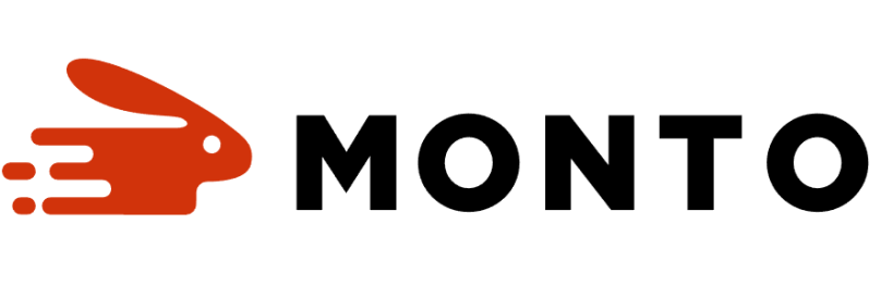 Чому Monto не вимагає застави та поручителів: умови оформлення – 01