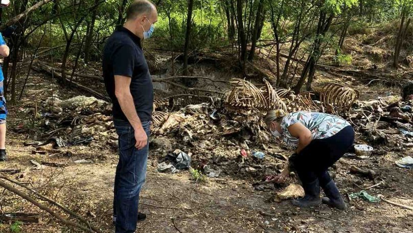 На Львівщині засудили чоловіка, який скинув нутрощі тварин в лісі – 04