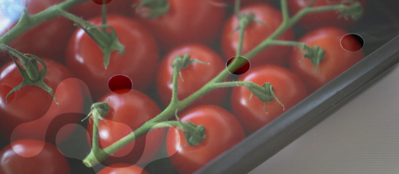 Пакування для томатів. Фото: plastchim