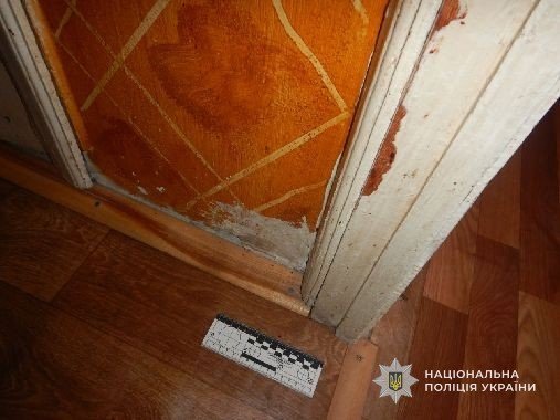 Львів'янину за побиття тещі загрожує до 8 років ув'язнення – 02