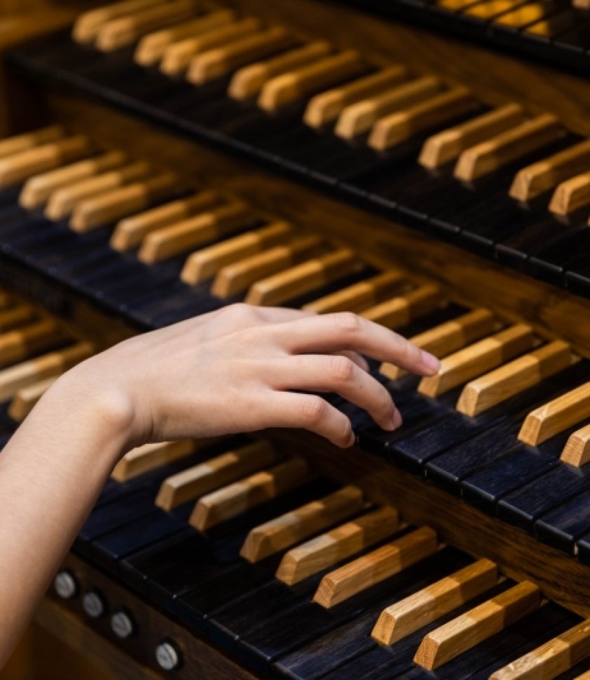 Органные мастера. Бах органист. Органный концерт "и. Сообщение об органе. Dpx134 spi organ.