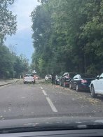 У Львові сильний буревій повалив дерева у різних частинах міста – 03