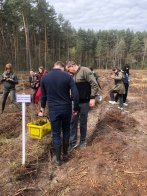 Інвестиції в майбутнє: Львівщина взяла участь в масштабній благодійній акції висадки дерев – 09