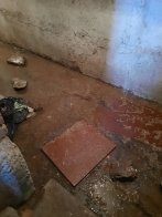 Туалетний папір та людські фекалії: львів'яни обурені станом підвалу на вулиці Вигоди (фото) – 02