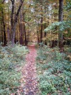 У Львівській області створили чотири нові природоохоронні зони – 02