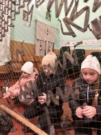 Громади Львівщини продовжують підтримувати ЗСУ: що вдалося передати цього тижня – 11