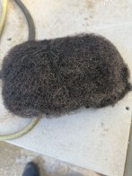 Волосся і мурахи: львівські митники показали, що намагалися провезти через кордон у 2025 році – 06