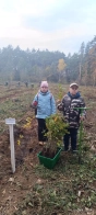 На Львівщині висадили понад 5 тисяч дерев у пам'ять про захисників України – 04