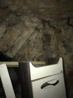 У підвалі аварійного будинку у Львові знайшли залишки стародавнього млина – 02