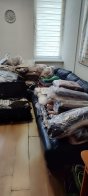 Львівські митники виявили на кордоні незадекларованих товарів на пів мільйона гривень – 03