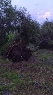 Через негоду у селі на Львівщині в десятках будинків зірвало дахи та вибило вікна – 10