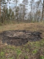 У Давидівській громаді незаконно зрубали дерева на понад 400 тисяч гривень – 03