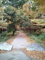 У Львівській області створили чотири нові природоохоронні зони – 01