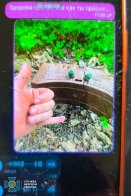 Львівська СБУ зірвала підготовку російських терактів на заході України – 01