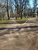 Львів’яни скаржаться на велосипедистів у парку Франка – 03