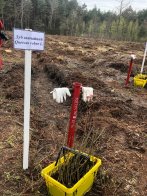 Інвестиції в майбутнє: Львівщина взяла участь в масштабній благодійній акції висадки дерев – 04