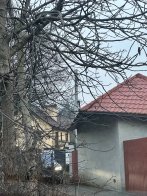 Автомобіль, який орендує Тарас Павлишин виїжджає з будинку тещі у Брюховичах (гортайте галерею)