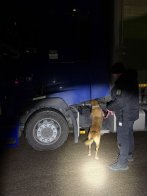 Меч, цигарки і вживані iPhone намагалися перевезти через кордон на Львівщині – 03