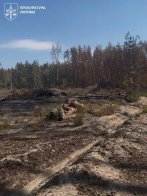 Справу директора Славського лісгоспу щодо вирубки лісу на 103 млн грн передали до суду – 02
