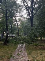 Наслідки негоди в парку імені Івана Франка