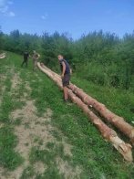 Жителі Старосамбірщини звинувачують у вирубці лісу сина старости села – 03