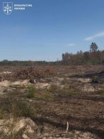 Справу директора Славського лісгоспу щодо вирубки лісу на 103 млн грн передали до суду – 03