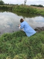 У Львові обробляють водойми від малярійних комарів – 01
