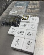 У Шегинях митники вилучили омолоджуючі препарати – 04