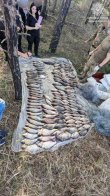 На Черкащині браконьєри виловили риби майже на 2 мільйони гривень – 01