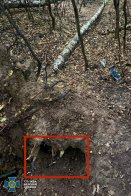 Правоохоронці знайшли пістолет, з якого у Львові вбили Андрія Парубія – 03