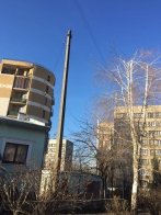 У Львові просять обрізати дерево, в якому заплутались дроти радіо – 02