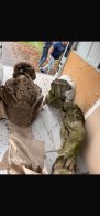 Студенти відновлюватимуть три скульптури Богородиці зі старого цвинтаря у Львові – 03