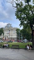 У Львові скаржаться на сухі гілки дерев, які падають на голови містянам на лавках біля Оперного театру – 01