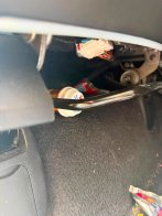 Спанієль прикордонників на Львівщині допоміг знайти кокаїн в авто – 02