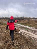 Рятувальники усю ніч шукали чоловіка, який заблукав у лісі на Дрогобиччині – 03