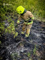 У Великих Грибовичах виникла масштабна пожежа: загорівся ліс на пагорбі – 01