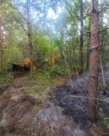 На Львівщині пожежа пошкодила близько 10 гектарів лісу – 05