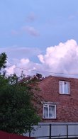 Через негоду у селі на Львівщині в десятках будинків зірвало дахи та вибило вікна – 08