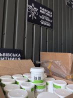 У Шегинях митники знайшли контрабанду стоматологічного сплаву на пів мільйона гривень – 01