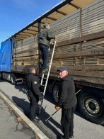 На Львівщині підприємці намагались вивезти за кордон деревини на понад 800 тис. грн – 01