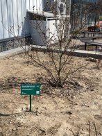 На Сихові невідомі пошкодили пам’ятні таблиці про захисників – 02
