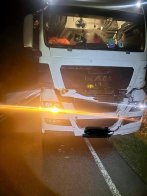 На Бродівщині вантажівка збила 700-кілограмового червонокнижного зубра – 02