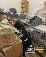 Фото: Домівка врятованих тварин