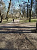 Львів’яни скаржаться на велосипедистів у парку Франка – 01