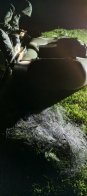 Екологи Львівщини врятували 23 кг риби, випустивши з браконьєрських сіток