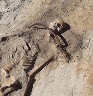 Була прибита серпом до землі: у Польщі археологи виявили останки "жінки-вампіра" (фото) – 05