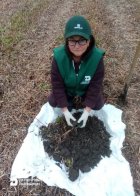 На Львівщині виявили шкідників, які можуть загрожувати майбутньому врожаю – 04