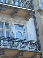 Пофарбувала фасад у центрі Львова: мешканку зобов’язали повернути історичний вигляд будинку – 02