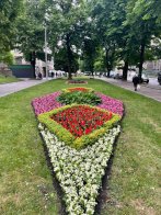 У Львові висадили нові квіткові композиції (фото) – 02