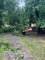 Наслідки буревію у Львові: у місті повалило дерева, світлофор та зірвало дахи – 03